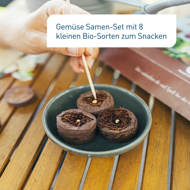 Bio-Balkongemüse Samen-Set mit 8 Sorten