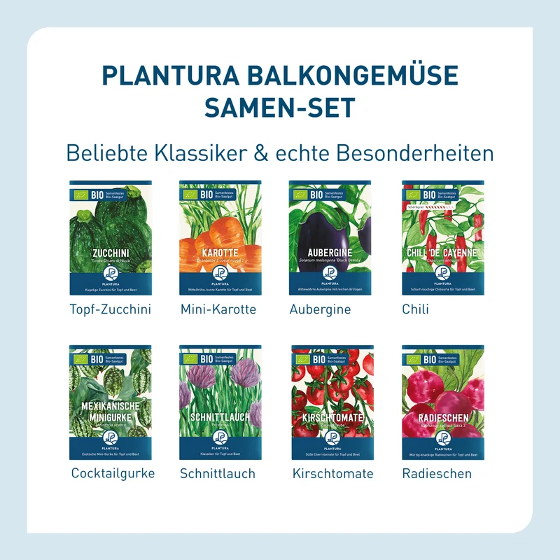 Bio-Balkongemüse Samen-Set mit 8 Sorten