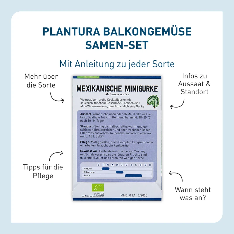 Bio-Balkongemüse Samen-Set mit 8 Sorten