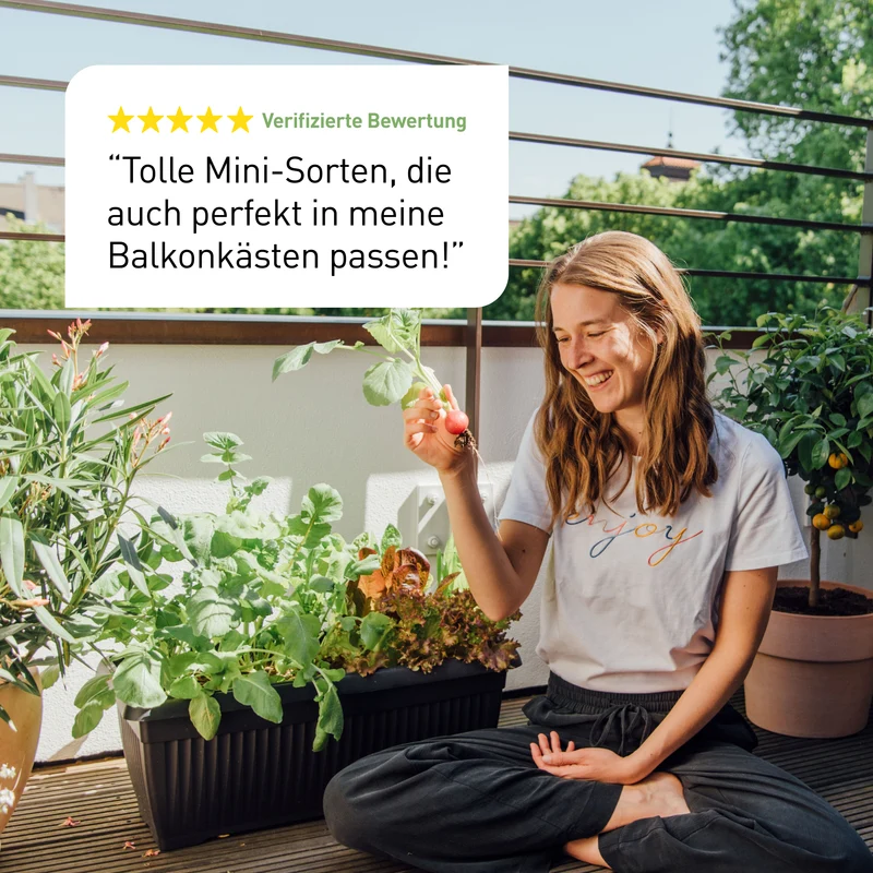Bio-Balkongemüse Samen-Set mit 8 Sorten