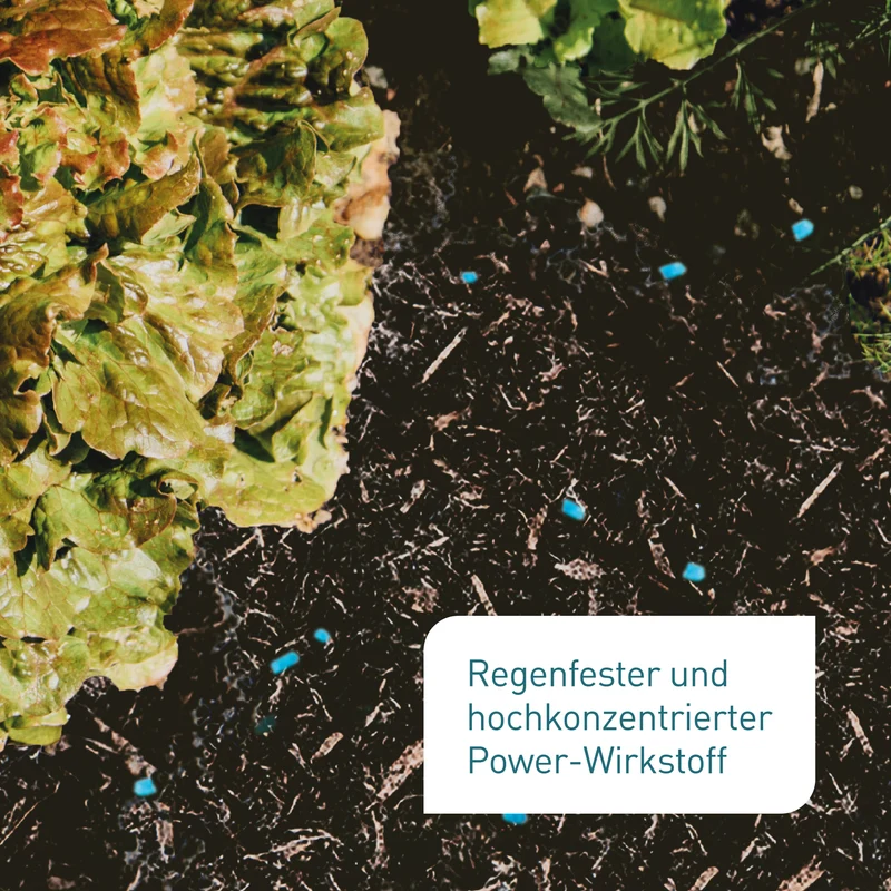 Schneckenkorn mit Power-Wirkstoff
