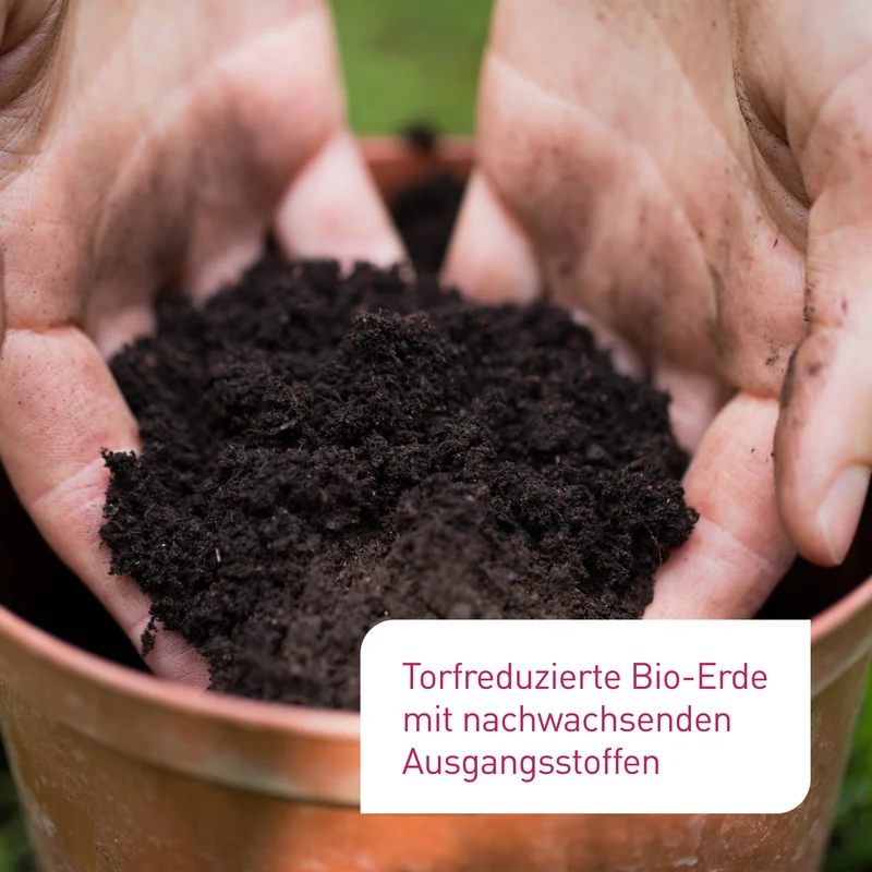 Bio-Saure Erde Palette 60 x 40 L