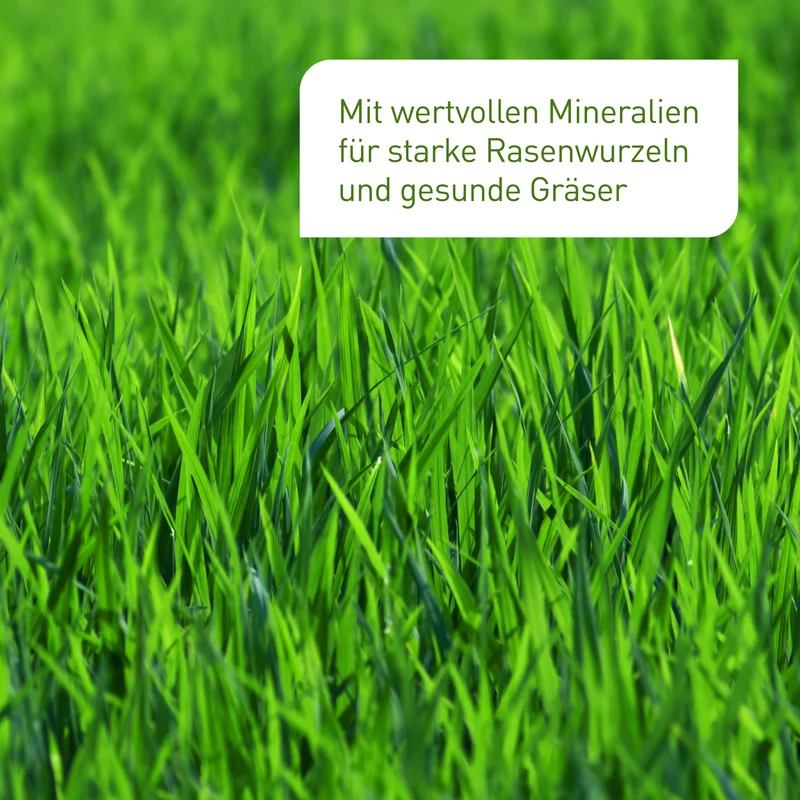 Bio-Rasenerde Palette 45 x 40 L