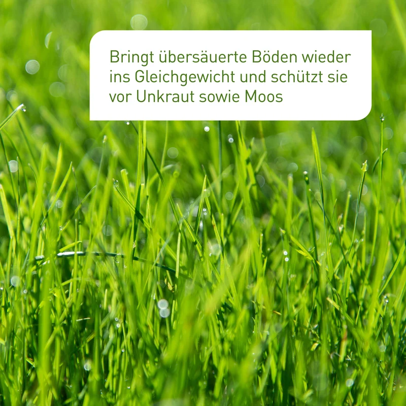 Bio-Rasen- & Gartenkalk 15 kg