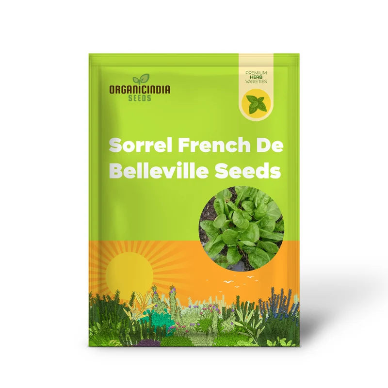 Sorrel French Green De Belleville Seeds – Premium Quality, Nutritious Leafy Herb for Garden & Kitchen Use