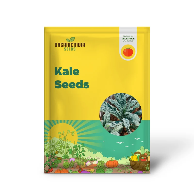Kale Seeds 'Yurok' F1 Seeds â€“ Elevate Your Gardening with Hardy, Delicious Vegetables for a Healthy Harvest!