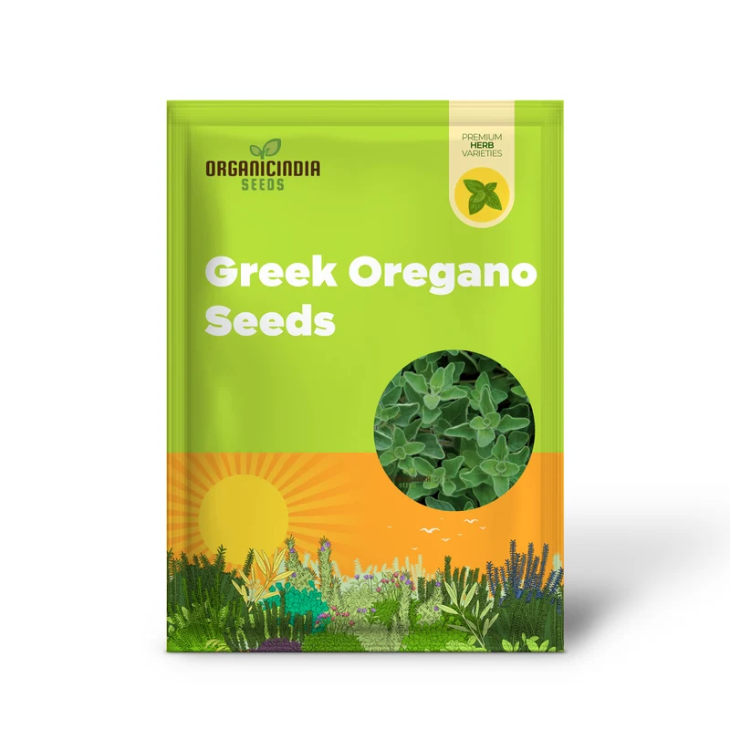 Greek Oregano Seeds – Premium Quality, High Germination & Easy Growing