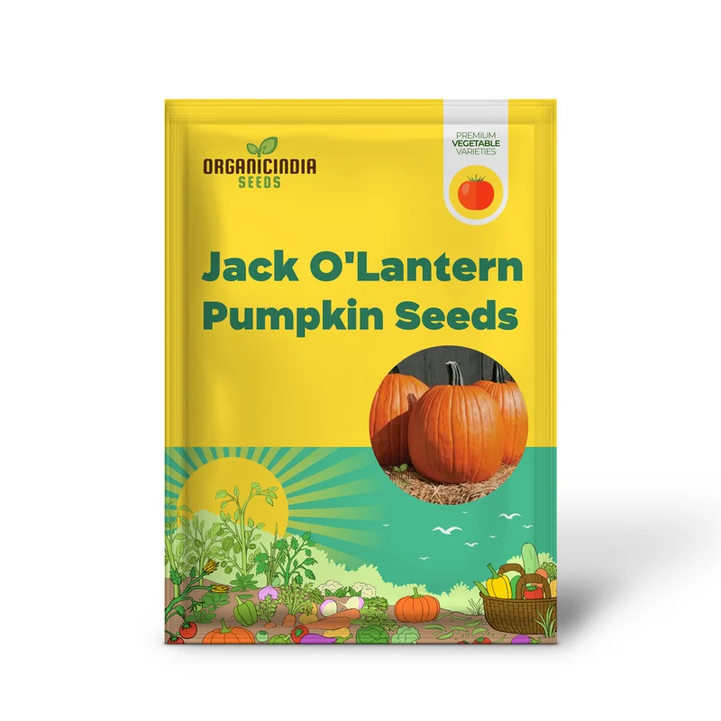Jack O'Lantern Pumpkin Seeds - Premium Quality Seeds for Gardening | Perfect for Fall Decor