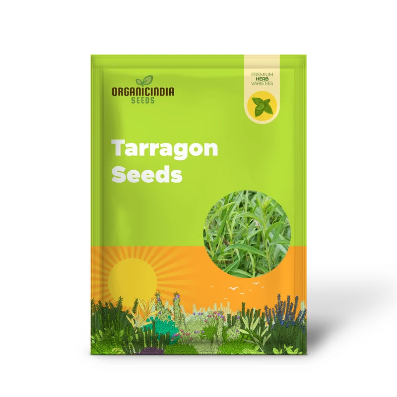 Tarragon Seeds for Planting – High-Quality, Fast-Germinating & Easy-Grow Herb Variety