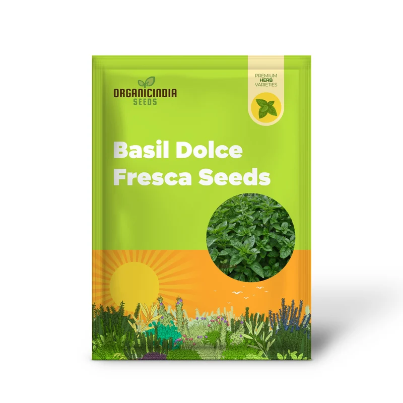 Basil Dolce Fresca Seeds – Premium Sweet Italian Basil for Home & Kitchen Gardens