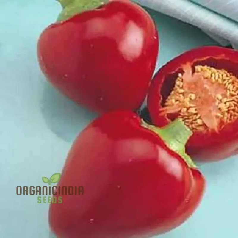 Sweet Pepper Seeds - Pimento | Premium Quality Seeds for Gardening