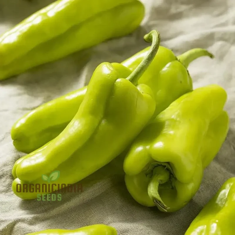 Cubanelle Sweet Pepper Seeds - Premium Quality Seeds for Gardening