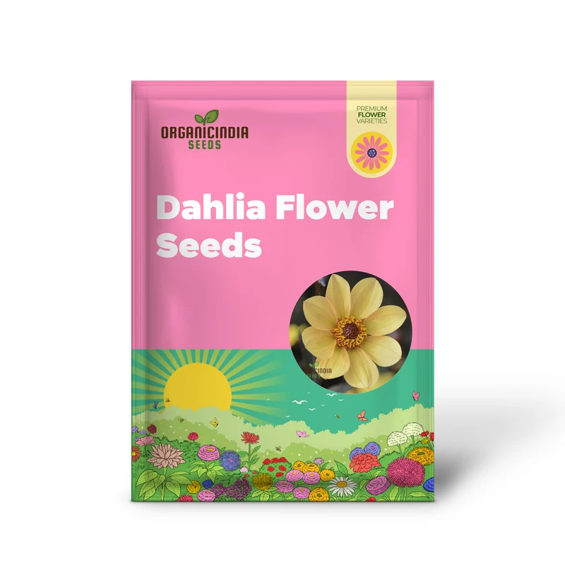 Dahlia Happy Single Party Flower Seeds For Planting, Bright and Cheerful Dahlia Seeds for a Vibrant Garden Celebration