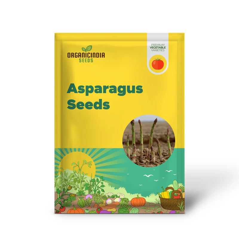 Asparagus Connover's Colossal Seeds For Planting, Grow Giant and Delicious Asparagus