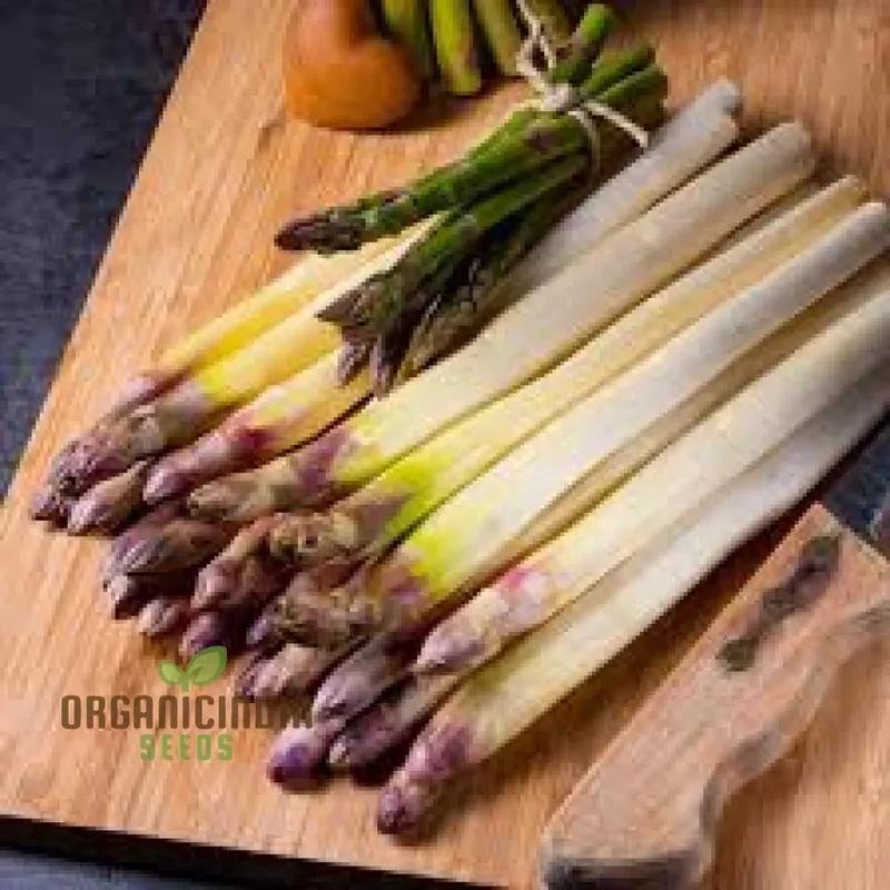 Asparagus - Argenteuil Vegetable Seeds For Planting, Grow Delicious and Tender Asparagus