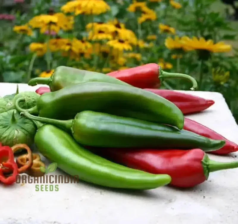 Hot Pepper Seeds - Anaheim Chili for Vibrant Flowers | Ideal for Planting in Your Garden