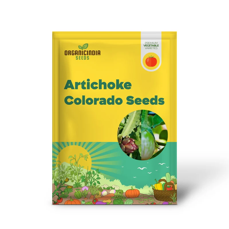 Artichoke - Colorado Red Star Seeds For Planting, Cultivate Stunning Red Artichokes