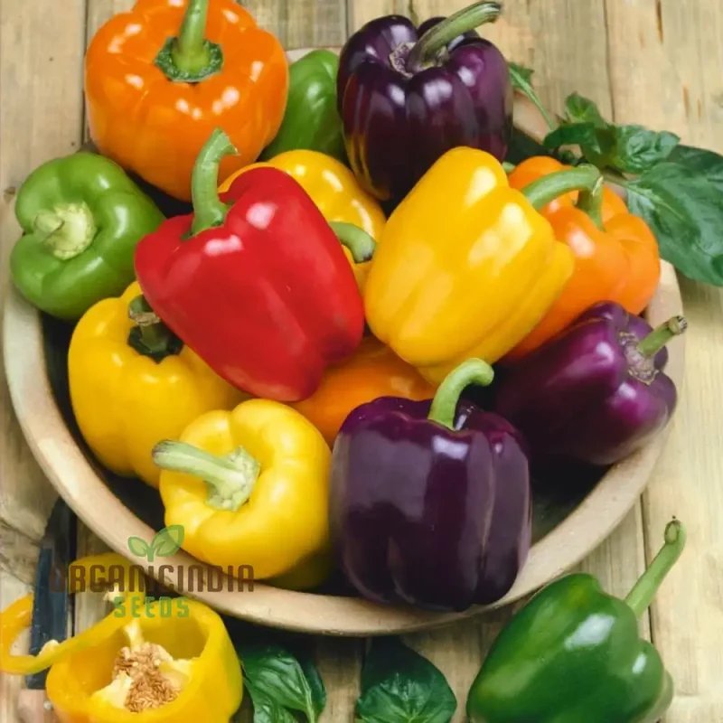 Sweet Pepper Seeds - Rainbow Bell Blend for Vibrant Garden Flowers, Seeds for Planting