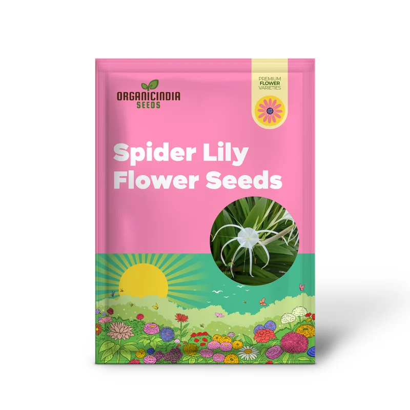 Spider Lily Mixed Color Flower Seeds, Premium Quality Seeds for Planting and Gardening