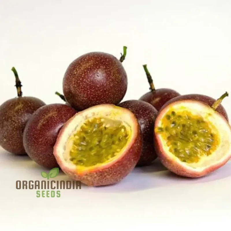 Passionfruit Pandora Seeds, Premium Quality for Planting Enthusiasts