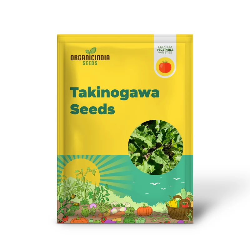 Takinogawa Long Seeds For Planting, Perfect for Healthy Gardens and Delicious Meals