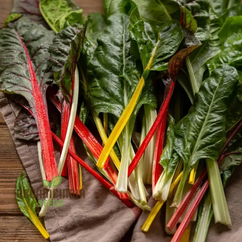 Silverbeet - Heirloom Mix Seeds for Planting | Premium Quality Gardening Seeds