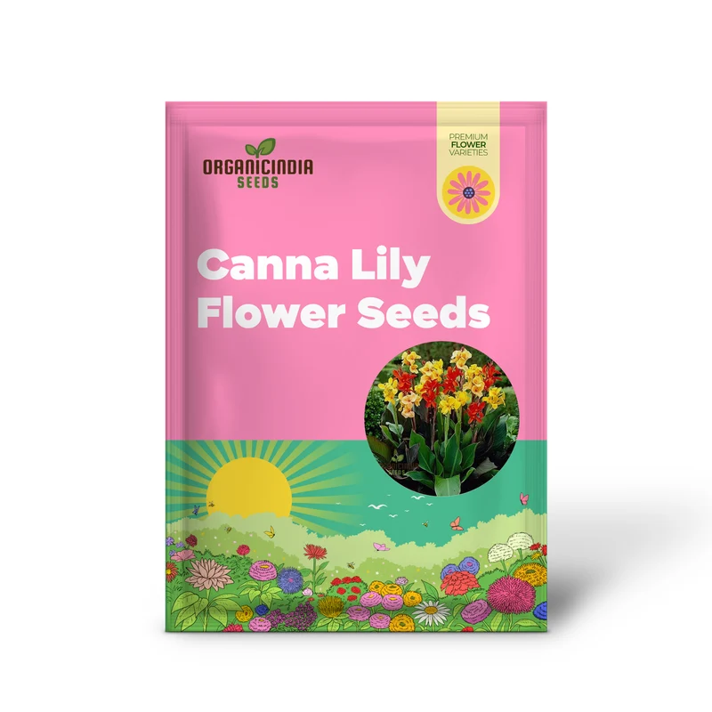 Canna Lily Mix Color Flower Seeds, Vibrant Multicolor Canna Lilies for Stunning Garden, Hardy Perennial Flower Seeds