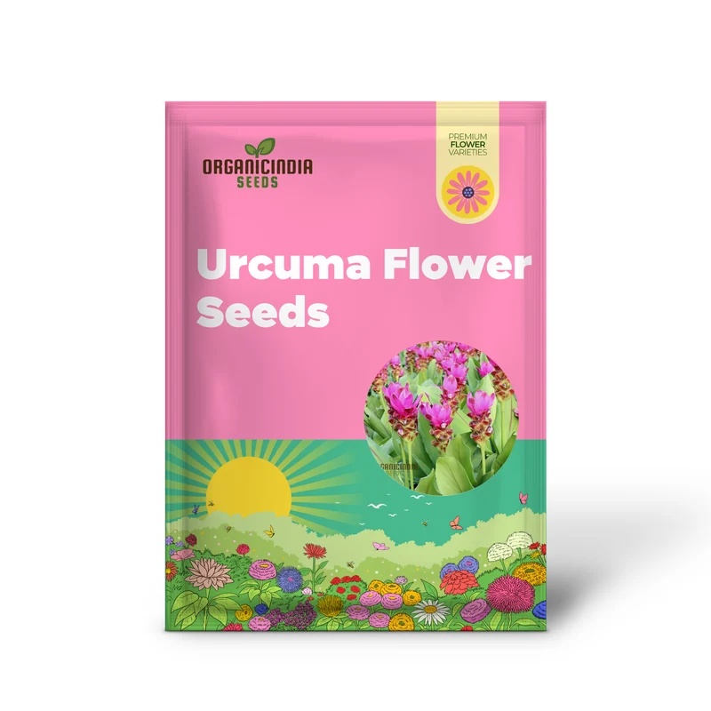 Curcuma Seeds (Pink Curcuma Flower Seeds) - Hardy Perennial Blooms for Gardens