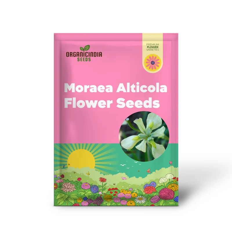 Moraea Alticola Flower Seeds for Planting, Premium Quality Seeds for Gardening
