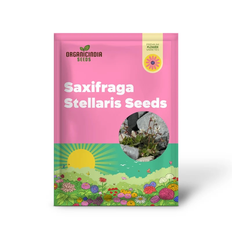Saxifraga Stellaris Seeds for Gardening Enthusiasts | Rare Alpine Perennial Flower Seeds for Rock Gardens and Borders