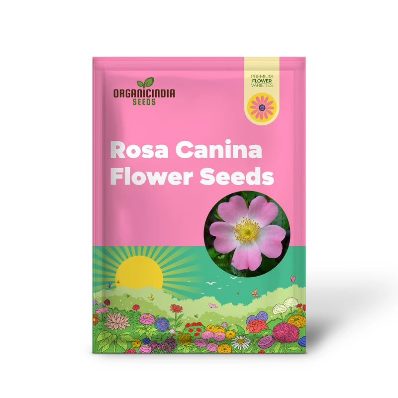 Rosa Canina Flower Seeds For Planting, Hardy Dog Rose Seeds for Beautiful and Resilient Wild Rose Flowers in Your Garden