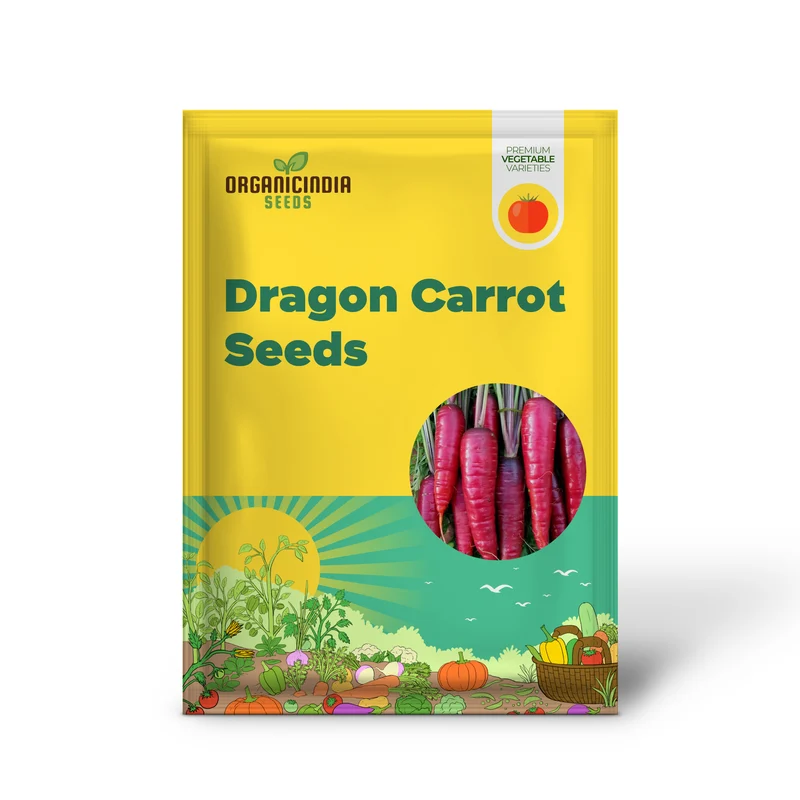 Purple Dragon Carrot Seeds for Planting and Gardening - Organic Seed Variety