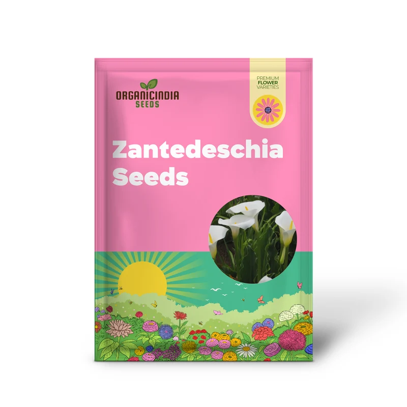 Zantedeschia Seeds (Zantedeschia Aethiopica Seeds) - Elegant White Blooms for Garden Planting
