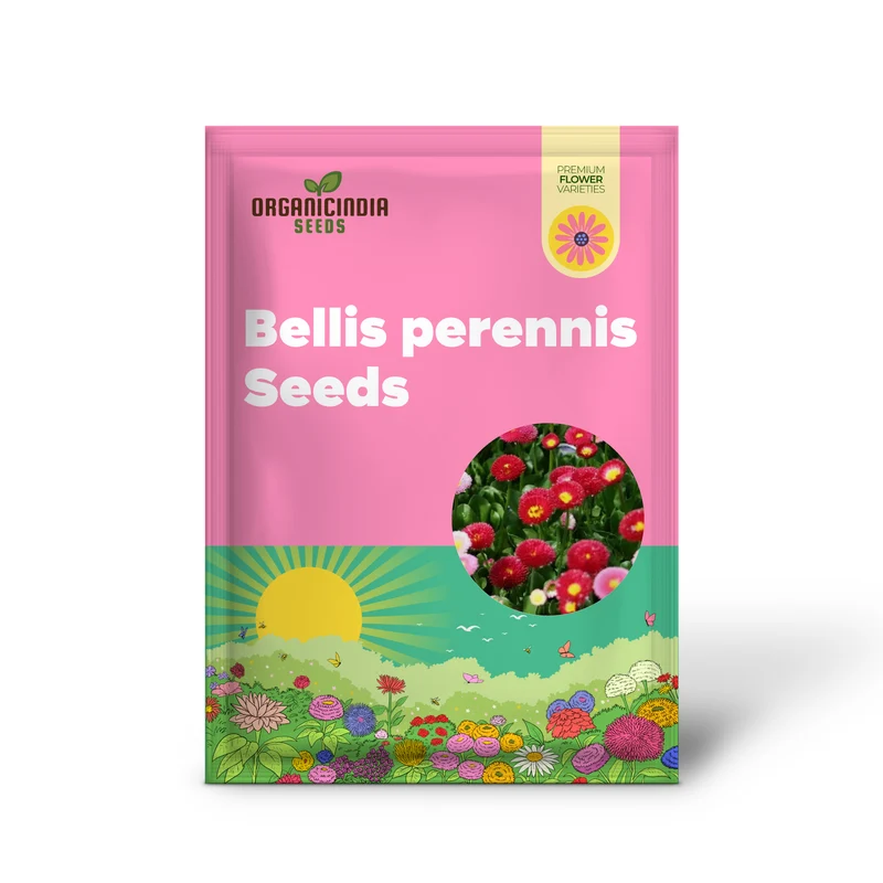 NM - Daisy Double Mix (Bellis perennis) Seeds for Gardening | Premium Quality Flower Seeds for Vibrant Garden