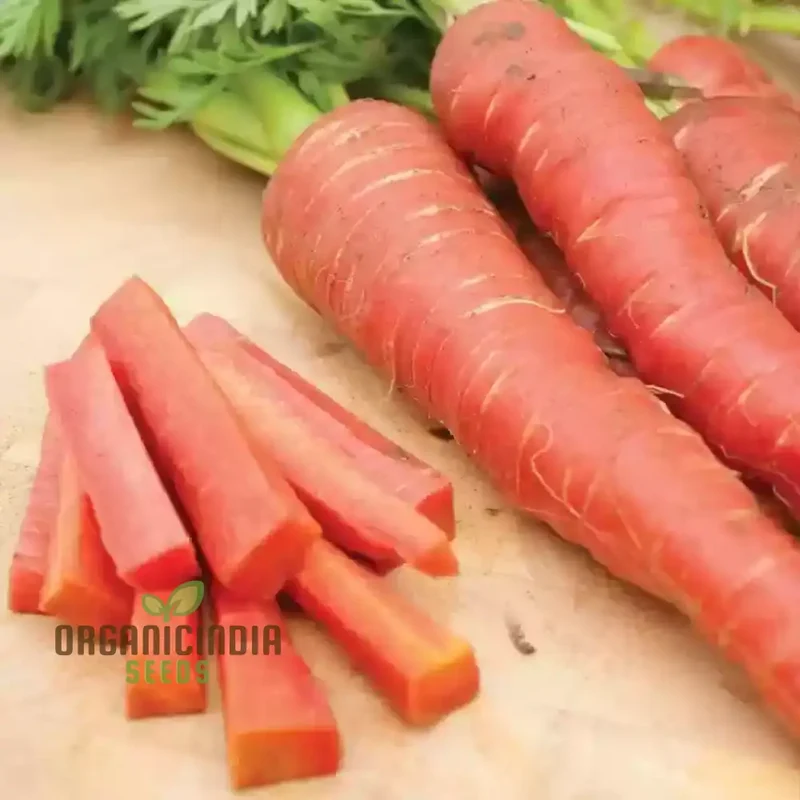 Carrot Seeds - Atomic Red for Planting & Gardening | Premium Quality Seeds