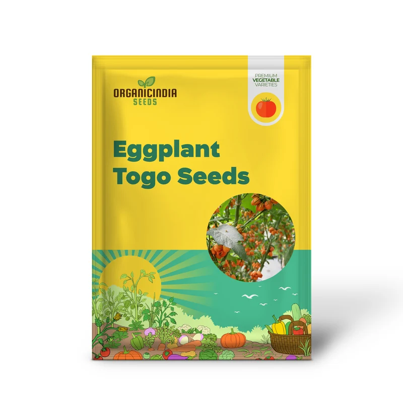 Eggplant - Togo Seeds for a Unique Gardening Experience and a Bountiful Harvest of Flavorful Produce!