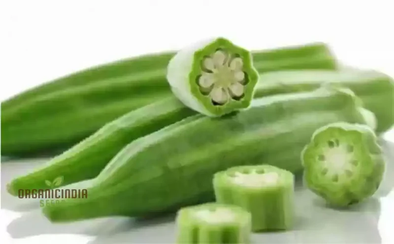 Okra - Heirloom Mix Seeds for Planting and Gardening - Premium Quality Non-GMO Varieties