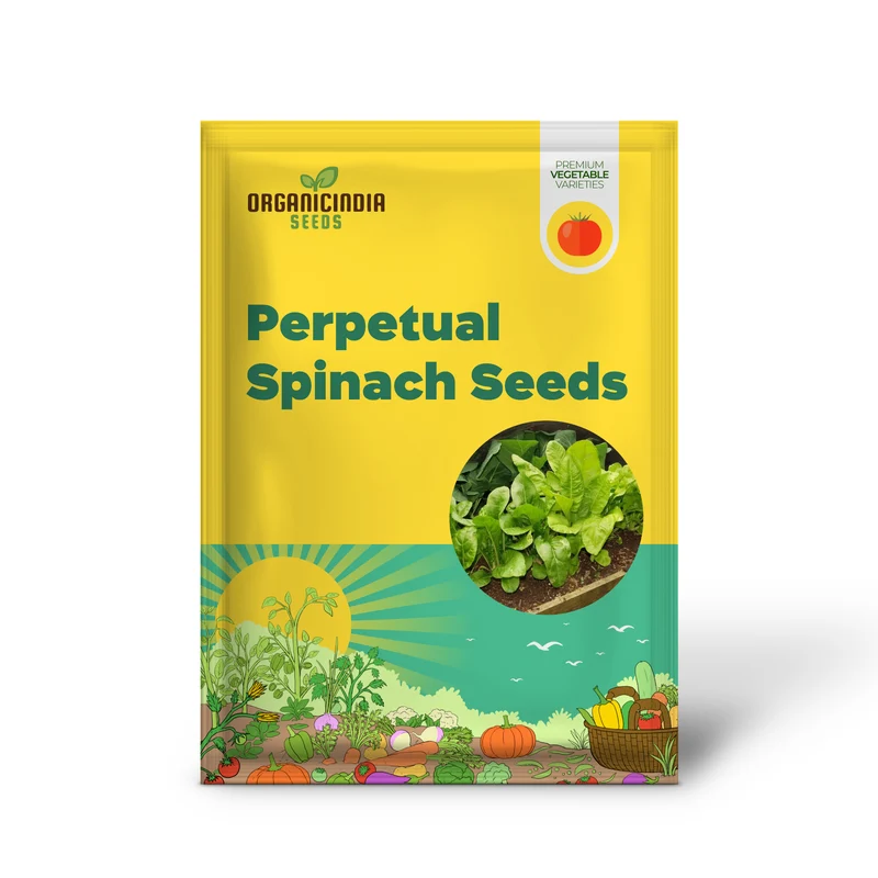 Perpetual Spinach Seeds for Gardening - High Yield, Nutrient-Rich, and Easy-to-Grow Leafy Greens for Year-Round Harvest