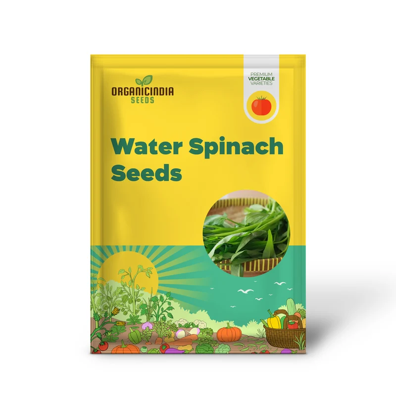Kangkong - Water Spinach - Bamboo Leaf Seeds for Planting and Gardening
