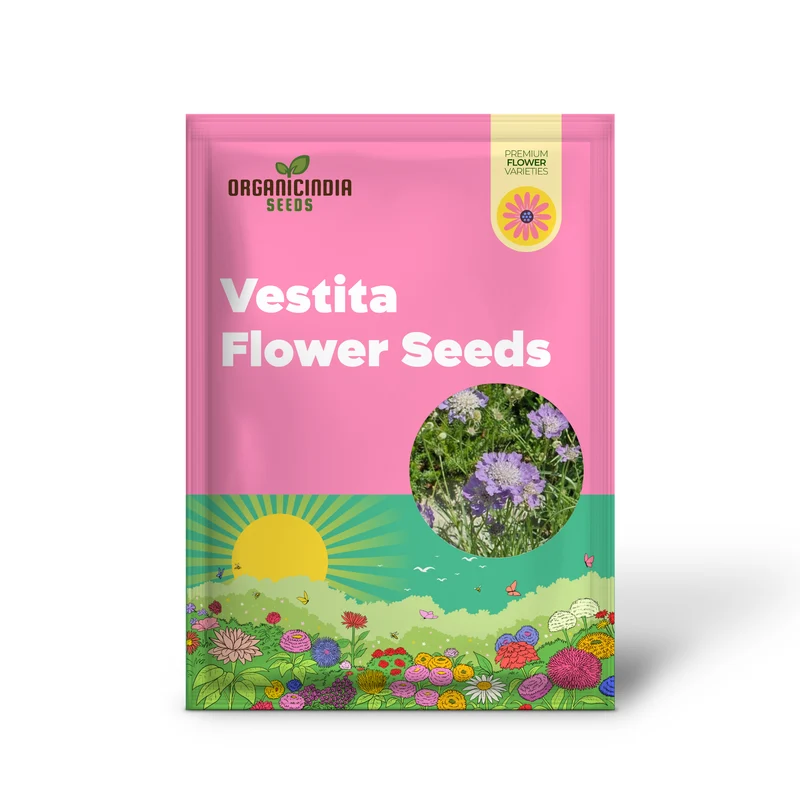 Scabiosa Vestita Flower Seeds for Planting -Quality Seeds for Gardening