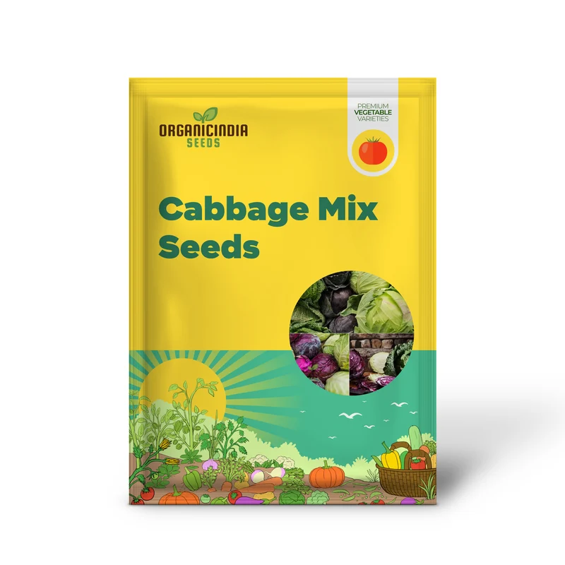 Cabbage - Heirloom Mix Seeds For Planting, Premium Collection for Your Garden