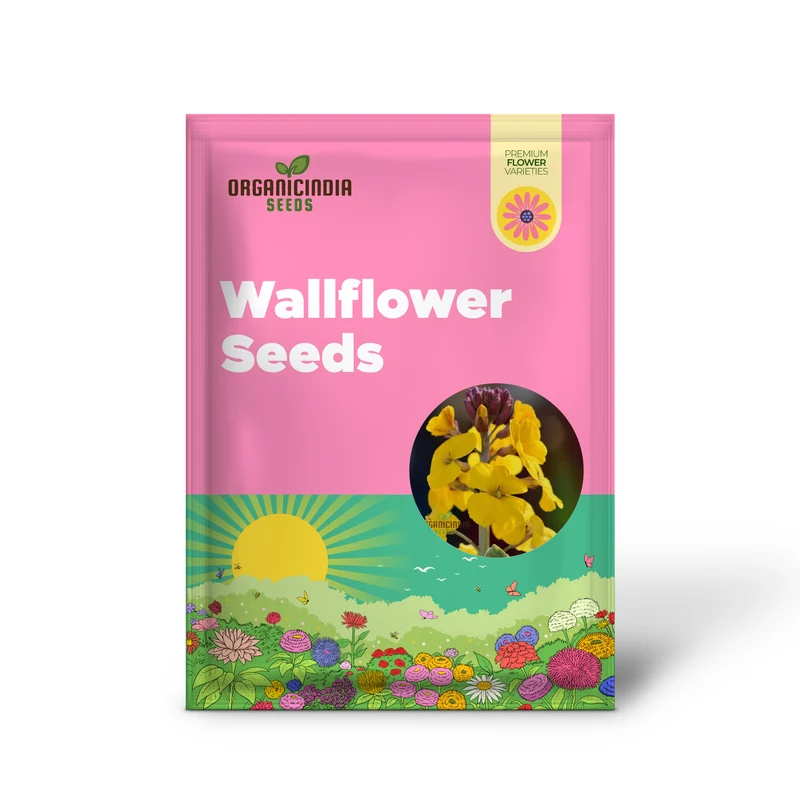 Wallflower Seeds - Cloth of Gold Variety in Golden-Yellow for Planting and Gardening