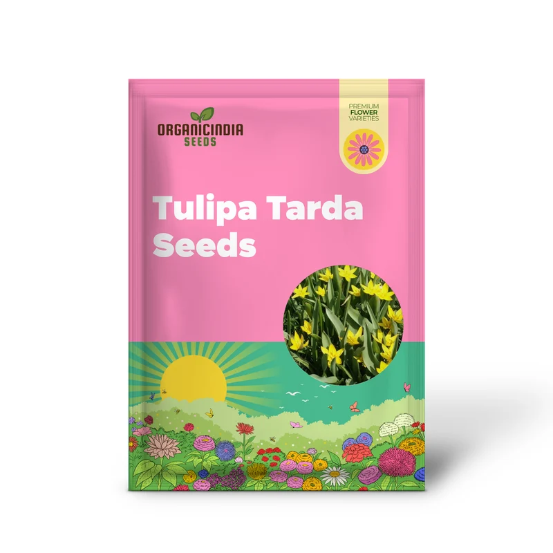 Tulipa Tarda Seeds - Premium Quality Seeds for Planting and Gardening Enthusiasts