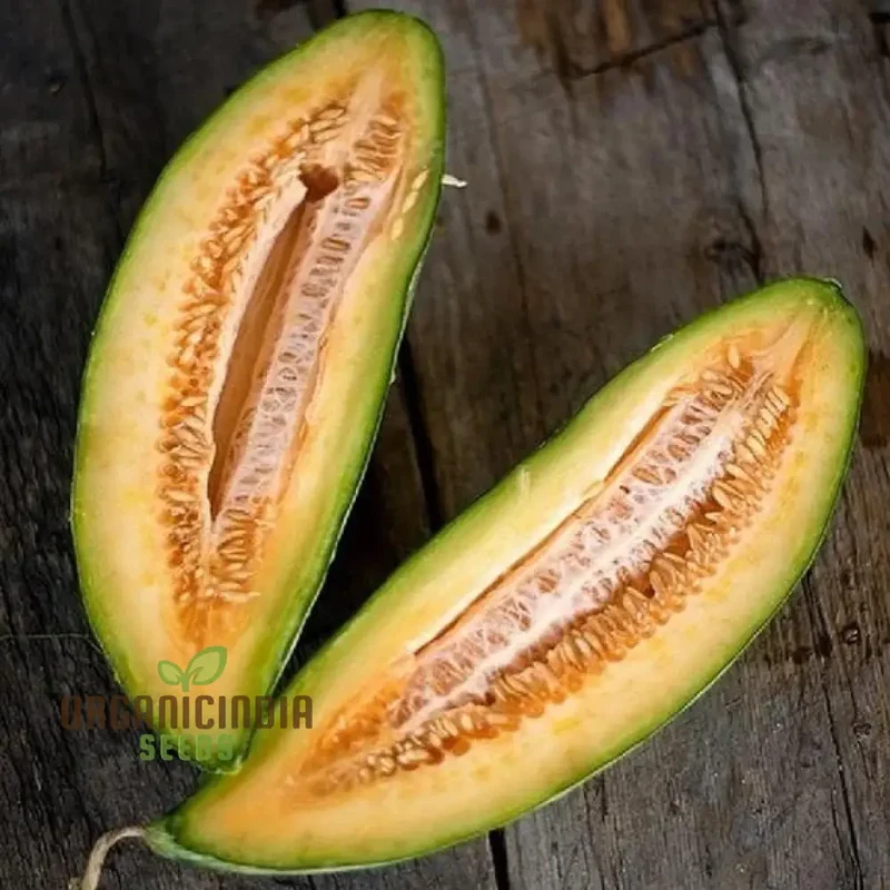 Melon Seeds - Banana Variety for Planting in Your Garden