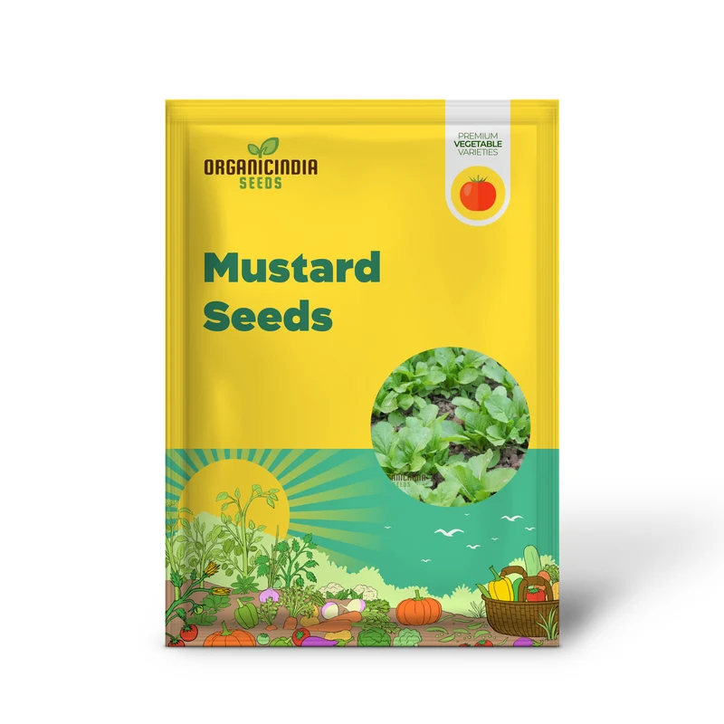 Indian Mustard 'Amsoi Green' Seeds for Exceptional Gardening Ideal for Home Garden Enthusiasts and Organic Growers