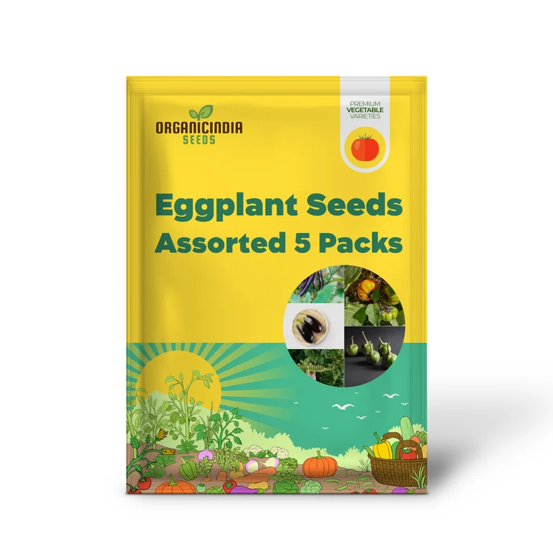 Eggplant Seeds Assorted 5 Packs | Premium Quality for Planting and Gardening
