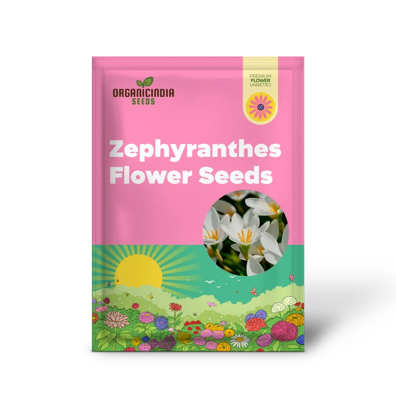 Zephyranthes White Flower Seeds For Planting, Elegant White Rain Lilies for Your Garden