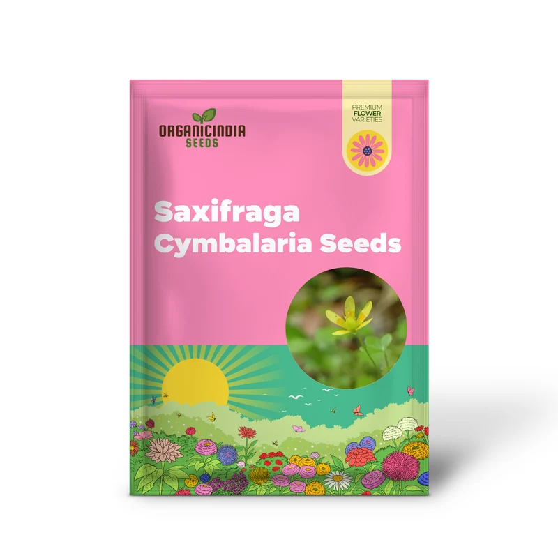 Saxifraga Cymbalaria Seeds for Gardening Enthusiasts | Buy Rare Alpine Plant Seeds Online