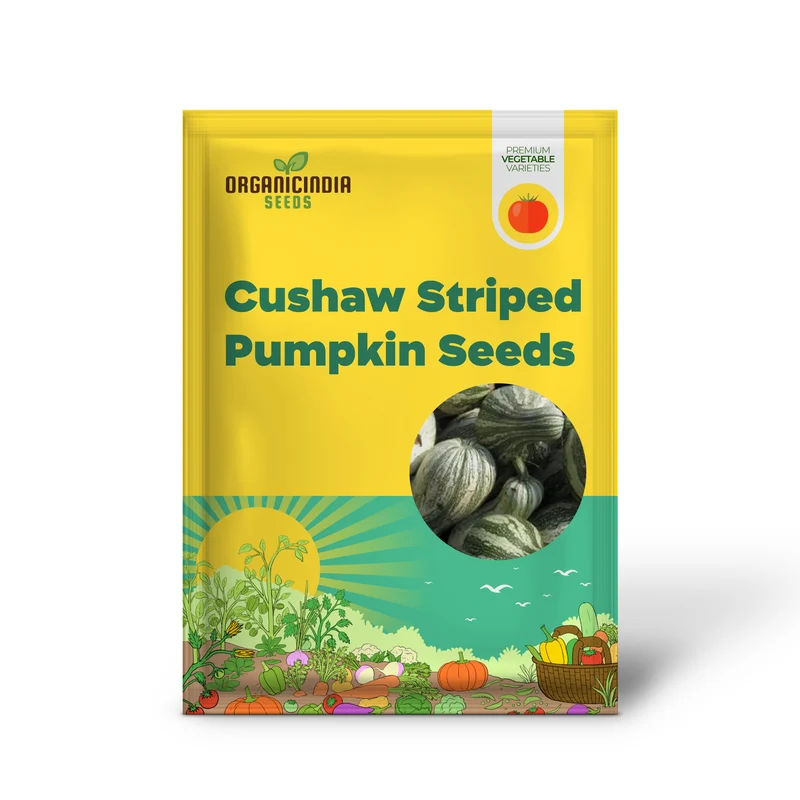Cushaw Green-Striped Pumpkin Seeds for Gardening | Buy High-Quality Seeds Online