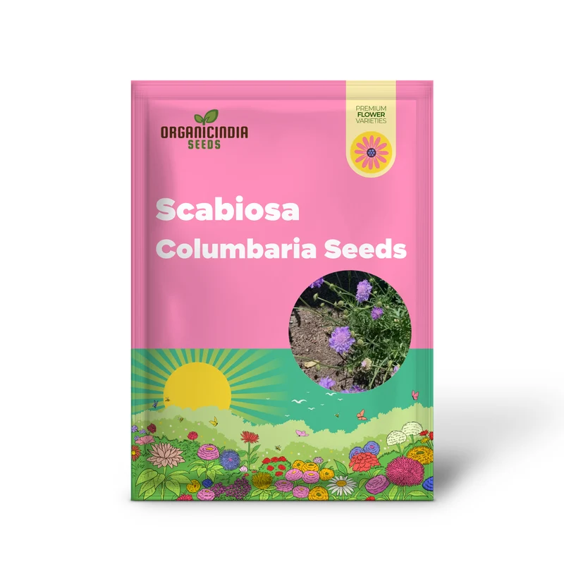Scabiosa Columbaria 'Misty Butterflies' Seeds | Gardening Perennials for Butterfly Gardens